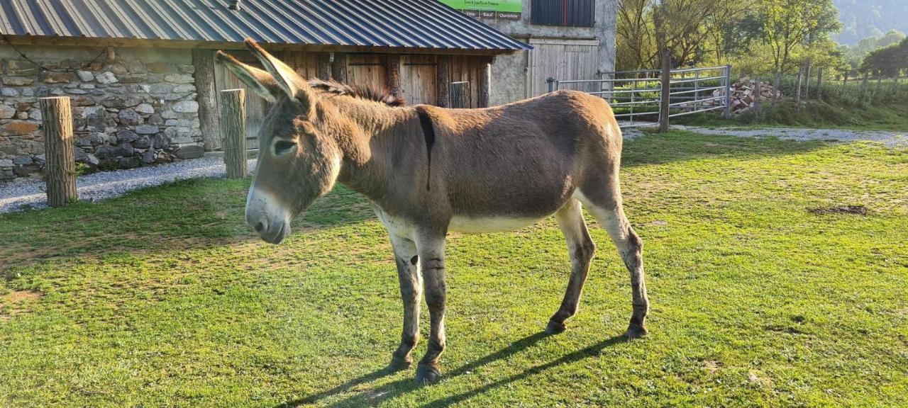 Chalet De Moulaprat Aste-Beon Pres De Laruns Et Gourette Zewnętrze zdjęcie